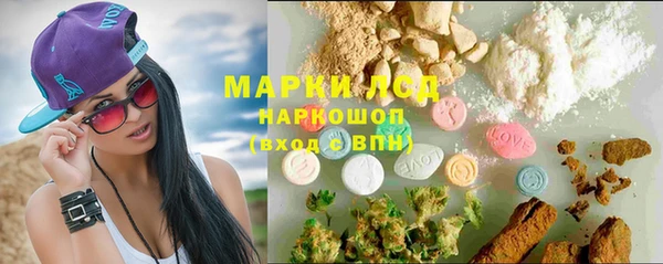 прущий лед Вязьма