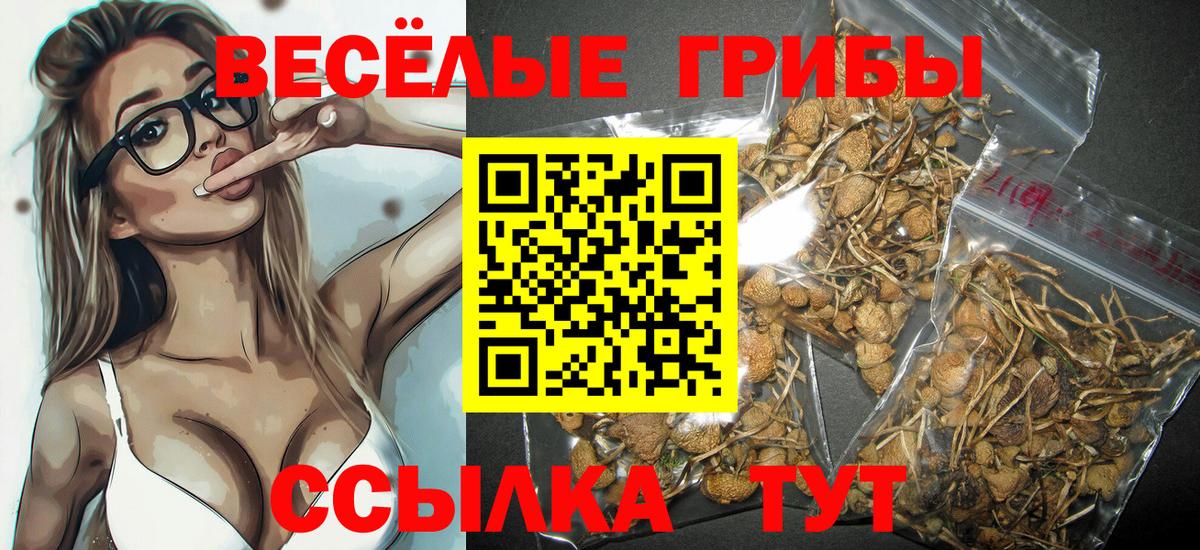 Каменск-Уральский  Псилоцибиновые грибы мухоморы  Псилоцибиновые грибы мицелий  Вход с VPN 